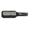 #009-000T25 – T25 Torx Insert Bit, 1″